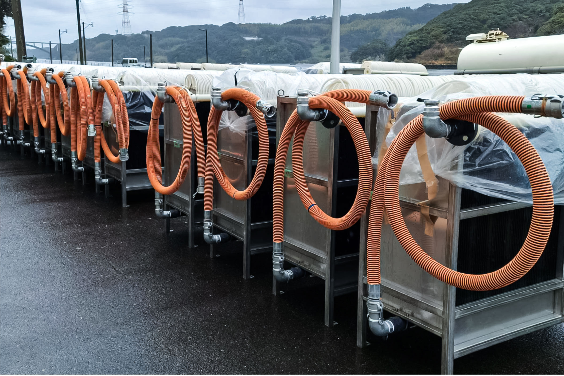 導入事例・日本